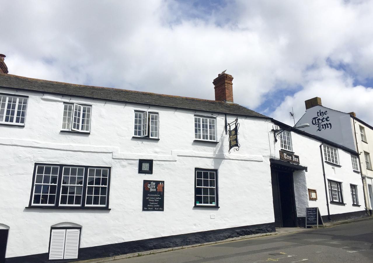 The Tree Inn Bude Exterior foto